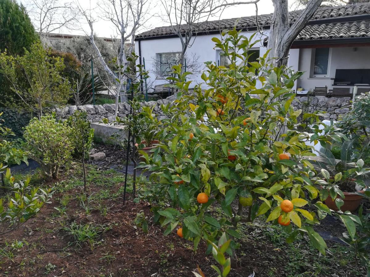 Casa Degli Avi Don Neli, Immersa Nella Natura Modica Extérieur photo