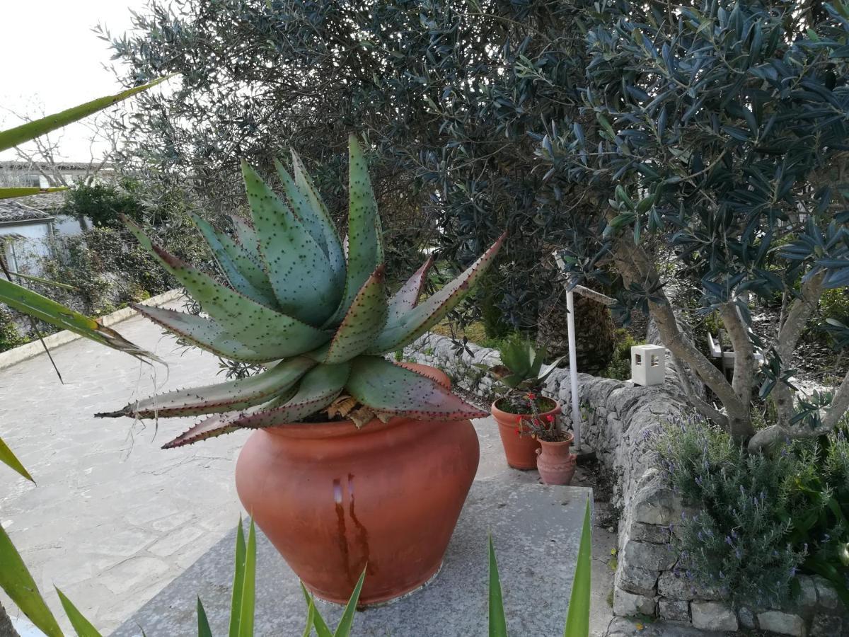 Casa Degli Avi Don Neli, Immersa Nella Natura Modica Extérieur photo
