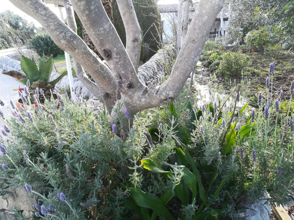 Casa Degli Avi Don Neli, Immersa Nella Natura Modica Extérieur photo