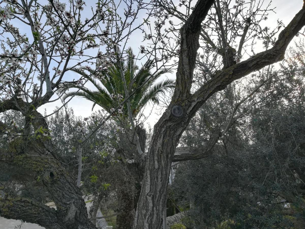 Casa Degli Avi Don Neli, Immersa Nella Natura Modica Extérieur photo